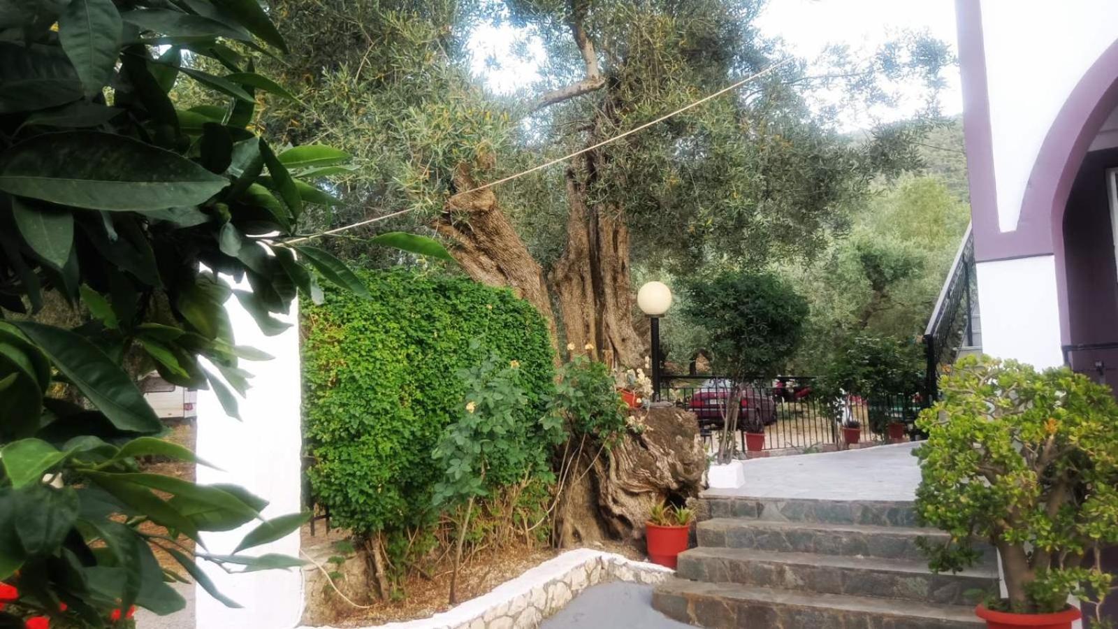 Nikos Studios Κερί Εξωτερικό φωτογραφία